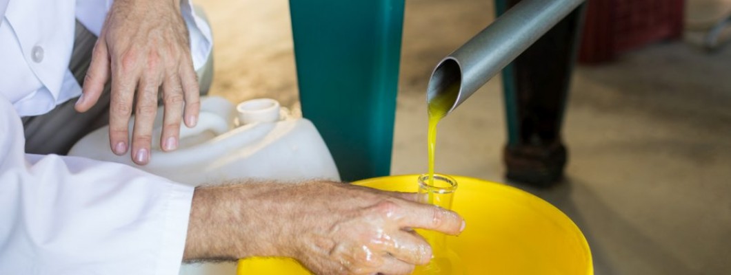 Soğuk Sıkım Zeytinyağının Faydaları: Sağlıklı Yağ Asitleri ve Antioksidanlar