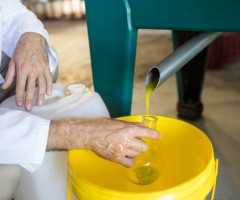 Soğuk Sıkım Zeytinyağının Faydaları: Sağlıklı Yağ Asitleri ve Antioksidanlar