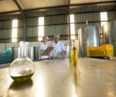 Doğal ve Kimyasal İşlem Görmemiş Zeytinyağının Değeri