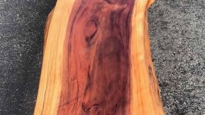 Güveli Antik Koleksiyon